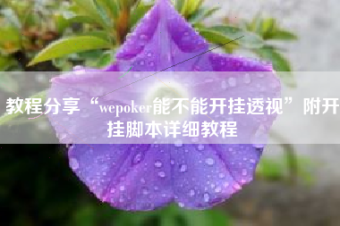 教程分享“wepoker能不能开挂透视	”附开挂脚本详细教程