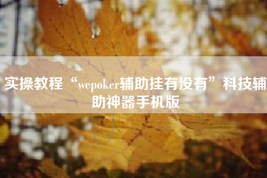 实操教程“wepoker辅助挂有没有	”科技辅助神器手机版