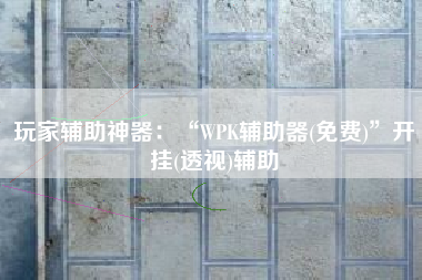 玩家辅助神器：“WPK辅助器(免费)”开挂(透视)辅助