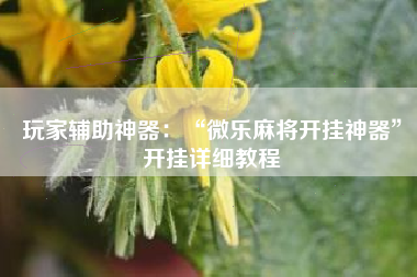 玩家辅助神器:“微乐麻将开挂神器”开挂详细教程 玩家辅助神器:“微乐麻将开挂神器”开挂详细教程