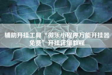 辅助开挂工具“微乐小程序万能开挂器免费	”开挂详细教程