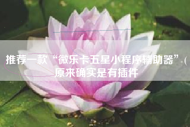 推荐一款“微乐卡五星小程序辅助器”(原来确实是有插件