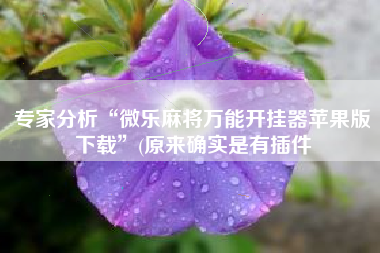 专家分析“微乐麻将万能开挂器苹果版下载	”(原来确实是有插件