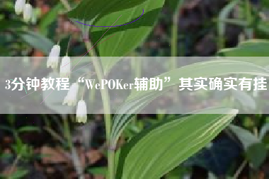 3分钟教程“WePOKer辅助”其实确实有挂