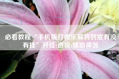 必看教程“手机版打微乐麻将到底有没有挂”开挂(透视)辅助神器