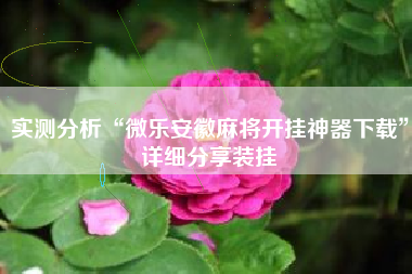 实测分析“微乐安徽麻将开挂神器下载”详细分享装挂