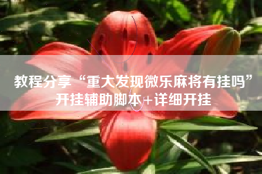 教程分享“重大发现微乐麻将有挂吗”开挂辅助脚本+详细开挂