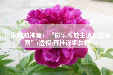 玩家辅助神器：“微乐斗地主透视挂免费	”(透视)开挂详细教程