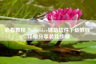 必看教程“we-poker辅助软件下载教程”详细分享装挂步骤