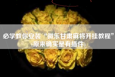 必学教你安装“微乐甘肃麻将开挂教程”(原来确实是有插件)