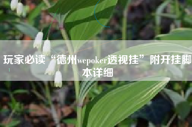 玩家必读“德州wepoker透视挂”附开挂脚本详细