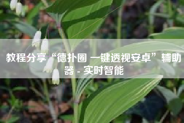 教程分享“德扑圈 一键透视安卓”辅助器 - 实时智能