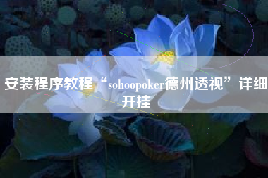 安装程序教程“sohoopoker德州透视”详细开挂