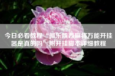 今日必看教程“微乐陕西麻将万能开挂器是真的吗”附开挂脚本详细教程