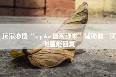 玩家必搜“wepoker透视脚本”辅助器 - 实时智能回复