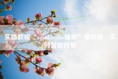 实操教程“wepokerplus辅助	”辅助器 - 实时智能回复