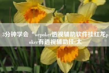 3分钟学会“wepoker透视辅助软件挂红龙poker有透视辅助挂(太
