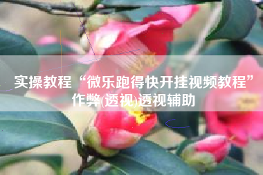 实操教程“微乐跑得快开挂视频教程”作弊(透视)透视辅助