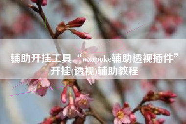 辅助开挂工具“waapoke辅助透视插件”开挂(透视)辅助教程