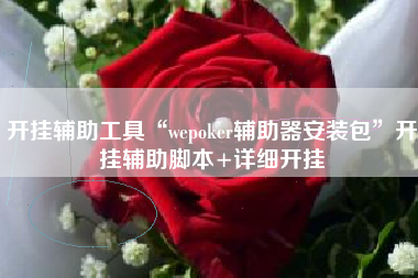 开挂辅助工具“wepoker辅助器安装包”开挂辅助脚本+详细开挂
