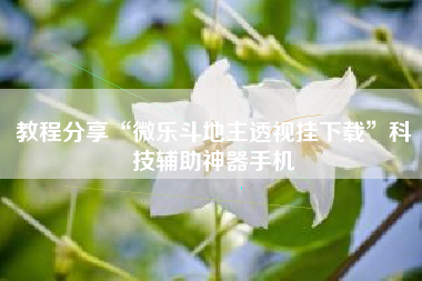 教程分享“微乐斗地主透视挂下载”科技辅助神器手机