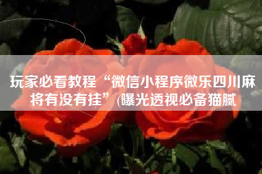 玩家必看教程“微信小程序微乐四川麻将有没有挂”(曝光透视必备猫腻