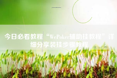 今日必看教程“WePoker辅助挂教程”详细分享装挂步骤教程