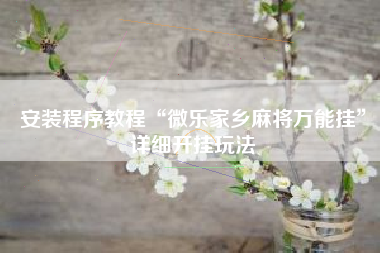 安装程序教程“微乐家乡麻将万能挂”详细开挂玩法