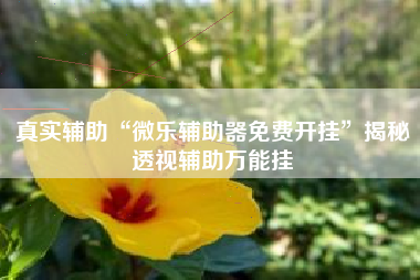 真实辅助“微乐辅助器免费开挂	”揭秘透视辅助万能挂