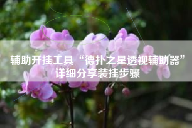 辅助开挂工具“德扑之星透视辅助器	”详细分享装挂步骤