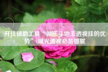 开挂辅助工具“微乐斗地主透视挂的优势”(曝光透视必备猫腻