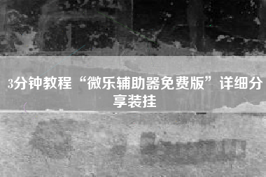 3分钟教程“微乐辅助器免费版”详细分享装挂