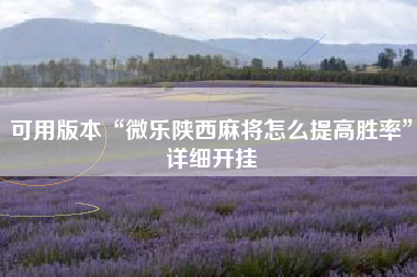 可用版本“微乐陕西麻将怎么提高胜率”详细开挂