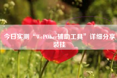 今日实测“WePOKer辅助工具”详细分享装挂
