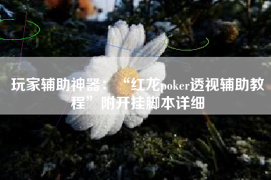 玩家辅助神器：“红龙poker透视辅助教程	”附开挂脚本详细