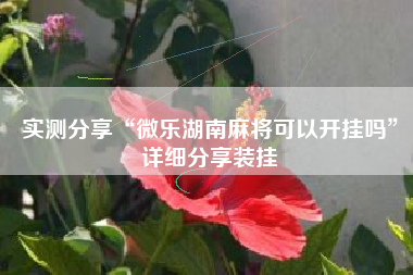 实测分享“微乐湖南麻将可以开挂吗”详细分享装挂