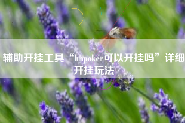 辅助开挂工具“hhpoker可以开挂吗”详细开挂玩法