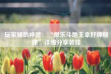 玩家辅助神器：“微乐斗地主拿好牌规律	”详细分享装挂