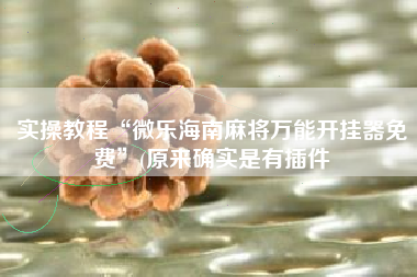 实操教程“微乐海南麻将万能开挂器免费	”(原来确实是有插件