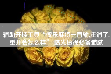 辅助开挂工具“微乐麻将一直输,注销了,重开会怎么样”(曝光透视必备猫腻