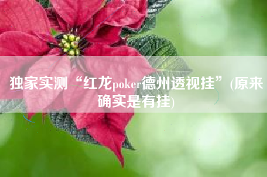 独家实测“红龙poker德州透视挂”(原来确实是有挂)