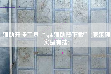 辅助开挂工具“wpk辅助器下载	”(原来确实是有挂)