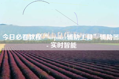 今日必看教程“wepoker辅助工具”辅助器 - 实时智能