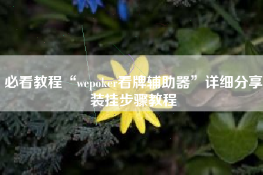 必看教程“wepoker看牌辅助器”详细分享装挂步骤教程