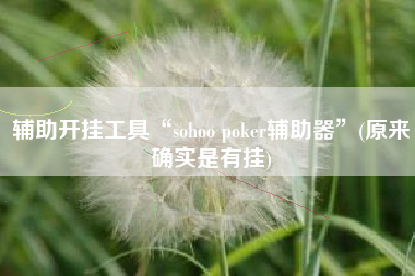 辅助开挂工具“sohoo poker辅助器”(原来确实是有挂)