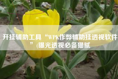 开挂辅助工具“WPK作弊辅助挂透视软件	”(曝光透视必备猫腻