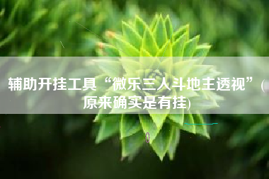 辅助开挂工具“微乐三人斗地主透视”(原来确实是有挂)