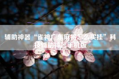 辅助神器“雀神广东麻将怎么买挂	”科技辅助神器手机版