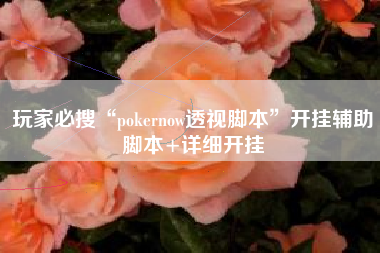 玩家必搜“pokernow透视脚本”开挂辅助脚本+详细开挂