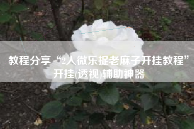 教程分享“2人微乐捉老麻子开挂教程”开挂(透视)辅助神器